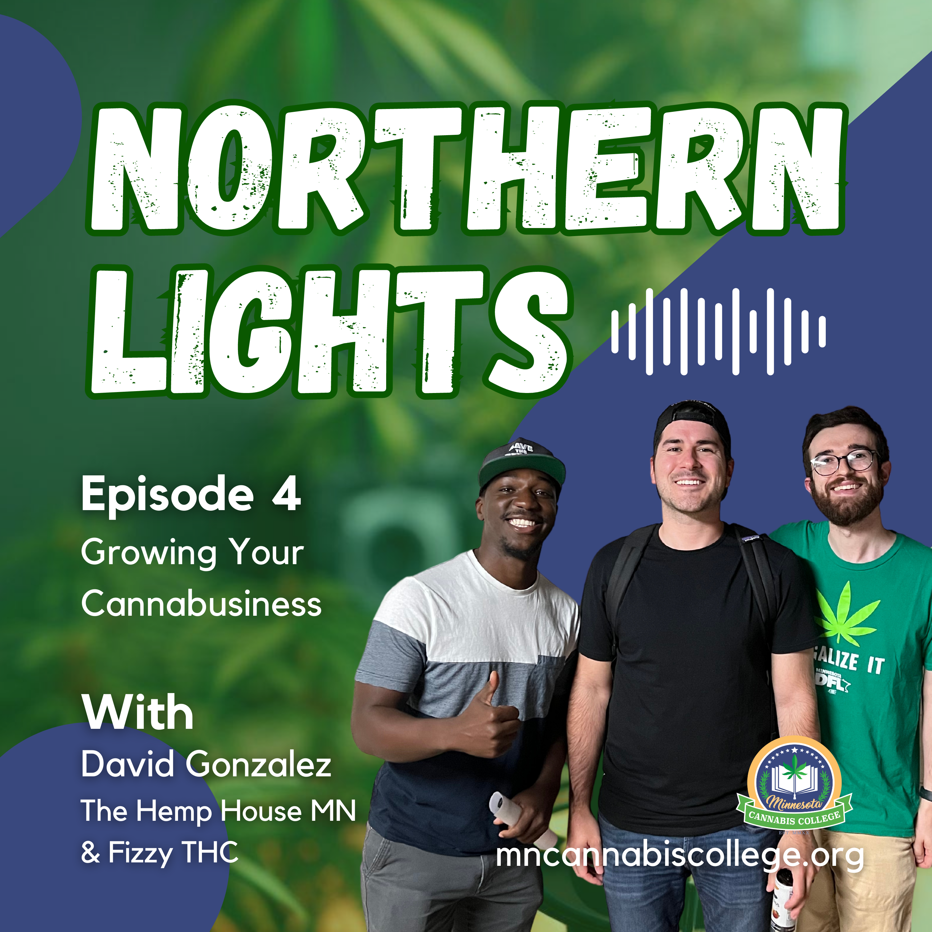 Northern Lights | Episode 4 – Cannabusiness Unpacked (with David Gonzalez)