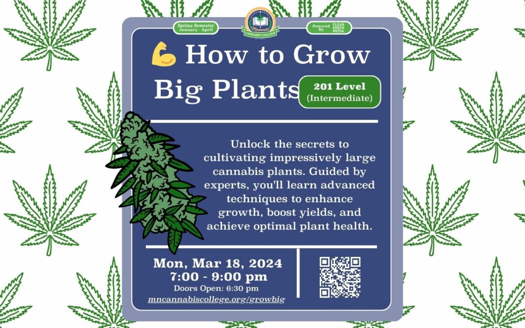 💪 How to Grow Big Plants (Grow at Home)
